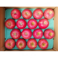 皮ごと食べても美味しい!りんご(ふじ)約5kg【1311697】