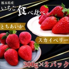 【2025年1月上旬より発送】とちあいか×スカイベリー 約300g×各1パック【配送不可地域:離島】【1383707】