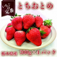 【2025年1月上旬より発送】とちおとめ 約300g×4パック【配送不可地域:離島】【1380001】