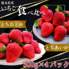 【2025年1月上旬より発送】とちおとめ×とちあいか 約300g×各2パック【配送不可地域:離島】【1378806】