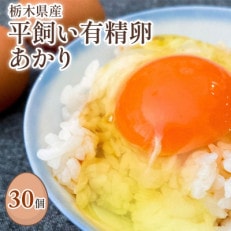 【平飼い有精卵あかり30個】ワタナベファームのおてんば長女【1437212】