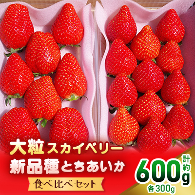 大粒スカイベリー&新品種とちあいか 食べ比べセット[配送不可地域:離島・沖縄]