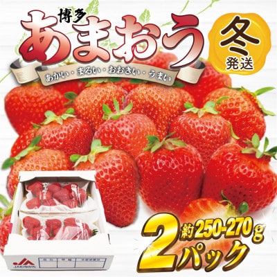 【2025年12月~2026年1月発送】博多あまおう(冬)(250g-270g)×2パック(岡垣町)【配送不可地域:離島・北海道・沖縄】【1621438】
