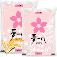 【令和7年産】福岡県産ブランド米「夢つくし」白米 計10kg(岡垣町)【1292924】