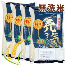 【令和7年産】福岡県産ブランド米「元気つくし」無洗米20kg(岡垣町)【1315924】
