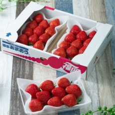 【2026年発送先行受付】春にお届け!福岡産はるあまおう3パック(岡垣町)【配送不可地域:離島】【1333570】