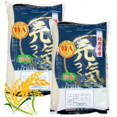 【令和7年産】福岡県産ブランド米「元気つくし」白米10kg(岡垣町)【1315918】