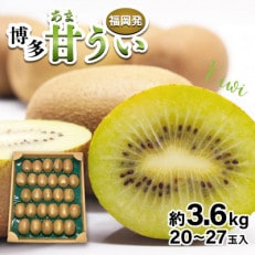 福岡県ブランドキウイフルーツ博多甘うぃ 約3.6kg(岡垣町)【配送不可地域：離島】【1418902】