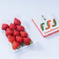 [11月下旬より順次発送]福岡産あまおう&明太子100g(岡垣町)[配送不可地域:離島]