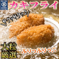 【発送月固定定期便】サクサクッ!国産大粒カキフライ20粒(約500g)(岡垣町)全4回【配送不可地域:離島】【4002955】