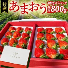 【先行受付】特選あまおう 800g(岡垣町)【配送不可地域:離島】【1449046】