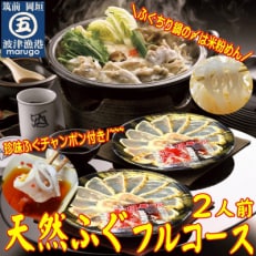 【毎月定期便】九州産 天然ふぐフルコース2人前 ちり鍋の〆はマルゴめん全4回【配送不可地域:離島】【4009118】