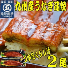 九州産うなぎ蒲焼2尾　秘伝つゆだくタレ付　老舗鮮魚店の味(岡垣町)【配送不可地域：離島】【1333041】