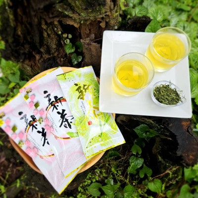 初摘み新茶3袋セット 相模湾のミネラルで育つ茶葉! 香り豊かに、色鮮やかに♪【先行受付】【1617067】