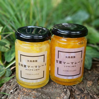 柑橘農家の自家製マーマレード3種セット 手作りで自然な甘さをお届けします【先行受付】【1657110】