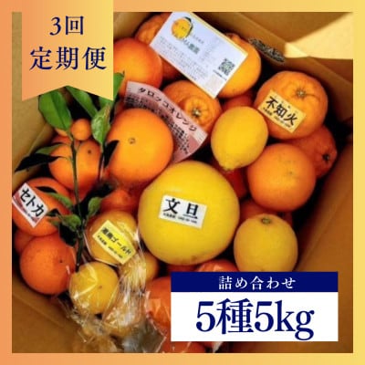 【発送月固定定期便】1~3月の季節の柑橘詰め合わせ5kg(3回定期便)毎月違う楽しい柑橘Box全3回【4072435】
