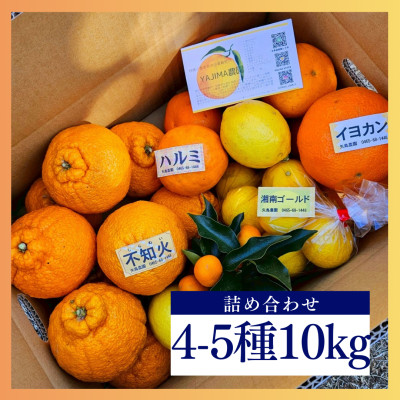 人気の不知火入り!みかん色々4-5種10kg季節の柑橘が楽しめる詰め合わせBox【先行受付】【1531526】