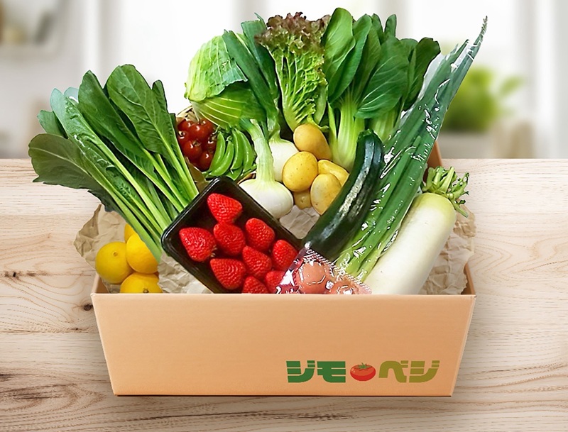 a60-031 【定期便 全6回】ジモベジ 野菜 セット