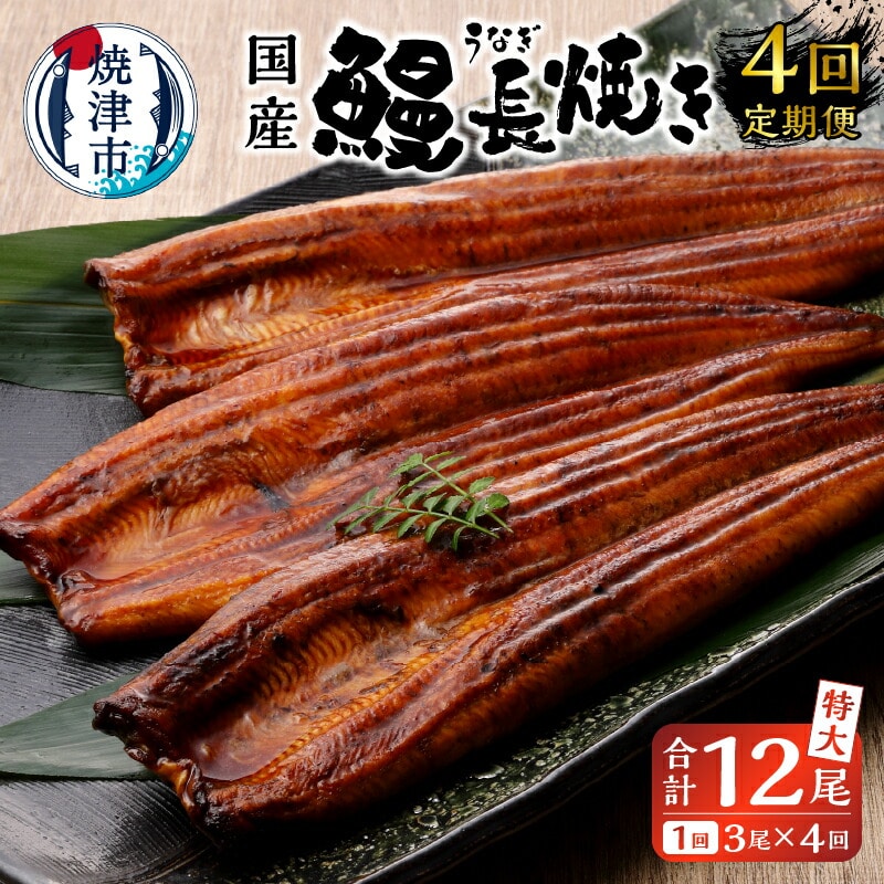 b100-058　【定期便4回】 鰻 長焼き【定期便】