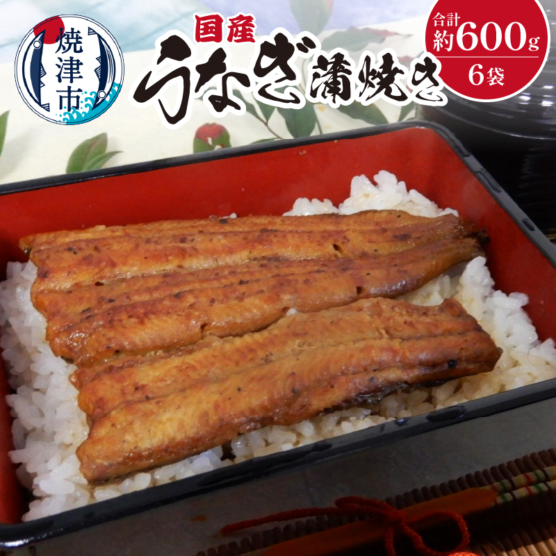 a28-008 国産 うなぎ 蒲焼き 約100g×6袋