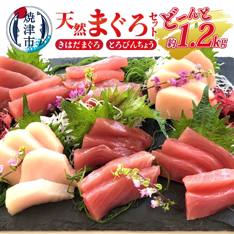 a10-908　天然 まぐろ セット（とろびんちょう・きはだまぐろ） 約1.2kg