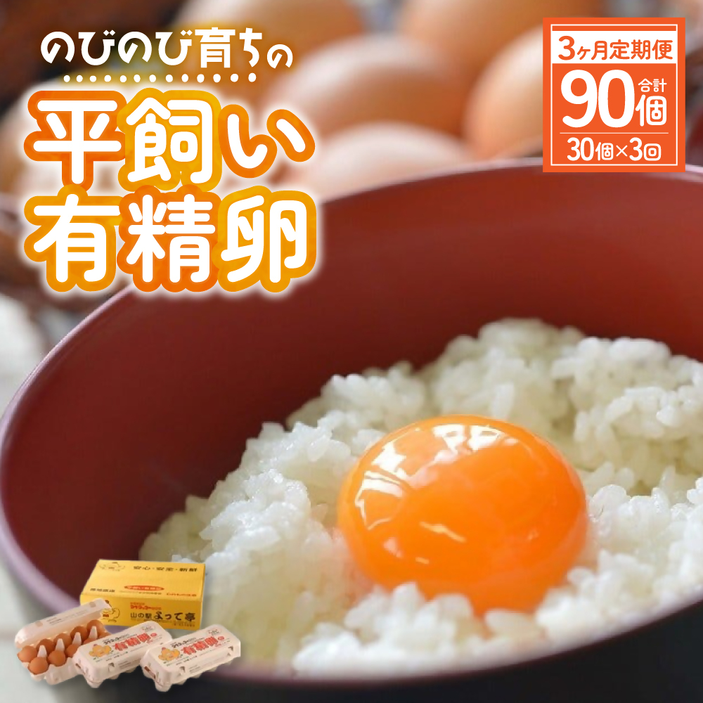 JK-04　【3ヶ月定期便】のびのび育ちの平飼い有精卵（30個×3ヶ月）