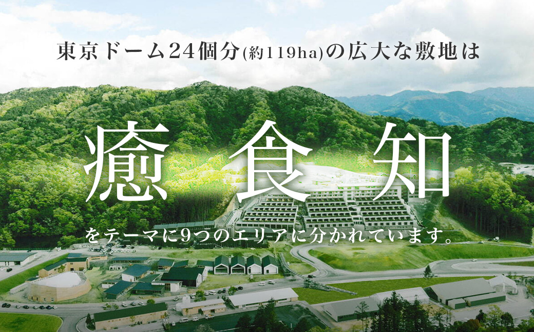 日本最大級の商業リゾート施設 VISON [ヴィソン] ギフト券 （100,000円分） VT-04 | 三重県多気町 | JRE MALLふるさと納税