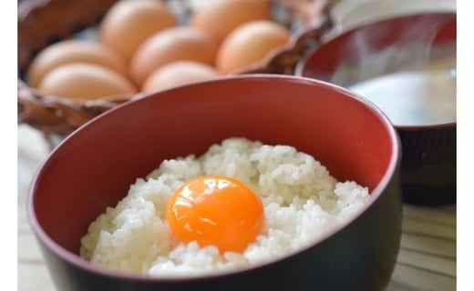 JK‐01 たまご屋さんの ギフトセット (平飼い有精卵10個入×2・有精卵マヨネーズ(300g)1本・かけたろう(150ml)1本・炭火焼平飼い鶏(100g)1個・平飼いとりそぼろ(100g)×3袋)