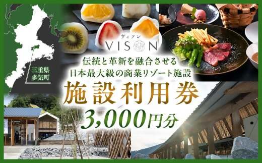 日本最大級の商業リゾート施設　VISON[ヴィソン]ギフト券（3,000円分） VT-01