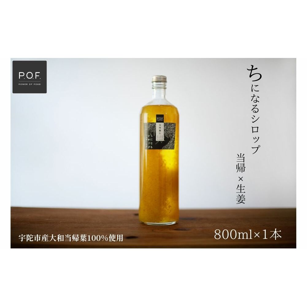 ちになるシロップ 大和当帰×生姜 800ml 1本/POWER OF FOOD ふるさと納税 生姜 シロップ 瓶 ガラス瓶 国産 食材 炭酸 大和当帰葉 有機 お湯割り 甜菜糖 ハチミツ はちみつ 送料無料 ち 奈良県 宇陀市