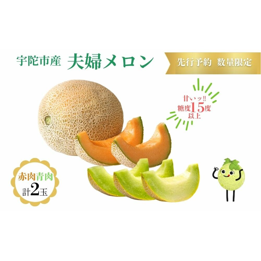糖度15度以上 !!<令和7年産先行予約受付中 / 数量限定>宇陀市産 夫婦メロン 計2玉(青肉・赤肉 各1玉ずつ)/ みやび農園 メロンセット 贈答 贈り物 紅白お祝い 食べ比べ 奈良県 宇陀市 ふるさと納税