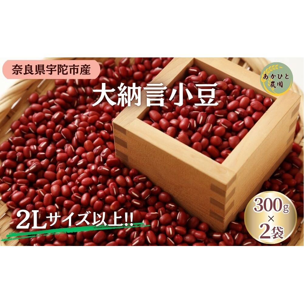 <11月中旬以降の発送予定です>宇陀大納言小豆300g×2袋(2Lサイズ以上) / ふるさと納税 小豆 国産 あずき 大納言 あんこ 奈良県 宇陀市 あかひと農園