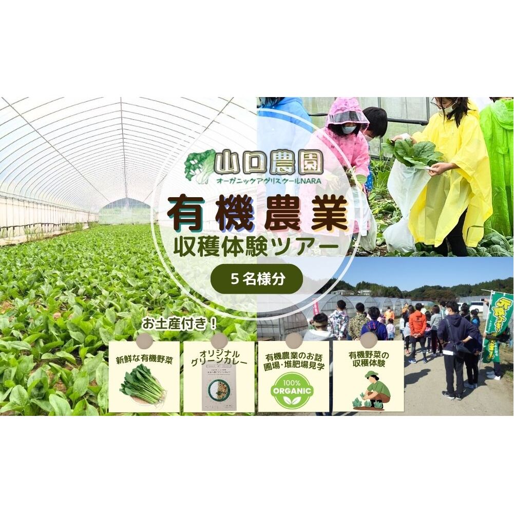 有機農業 収穫体験 ツアー お土産付 5名様迄/ 農家 有機野菜 オーガニック 無農薬 SDGs 関西 チケット カレー 山口農園 奈良県 宇陀市 ふるさと納税