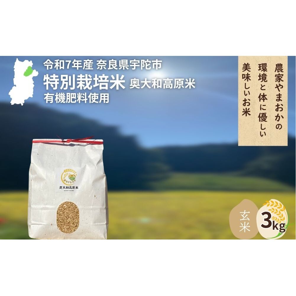 <令和7年産・先行予約>★特別栽培米★玄米3kg 9月末より順次発送 / ふるさと納税 無農薬 米 お米 こめ コメ 国産 新米 玄米 農家やまおか 奈良県 宇陀市