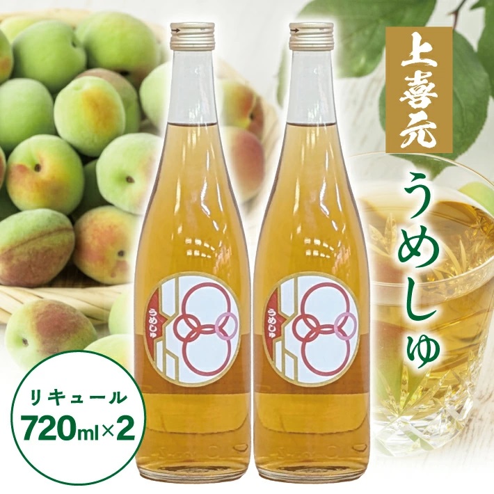 SA2430　酒田の酒屋厳選　上喜元 うめしゅ　720ml×2本