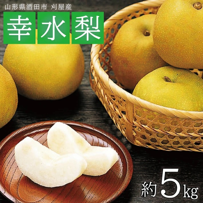 SC0584　酒田の果物専門店厳選　刈屋産 幸水梨　約5kg(10～16玉入)