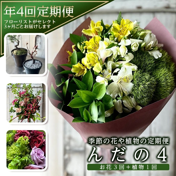 [4回定期便]「季節の花や植物の定期便 んだの4」