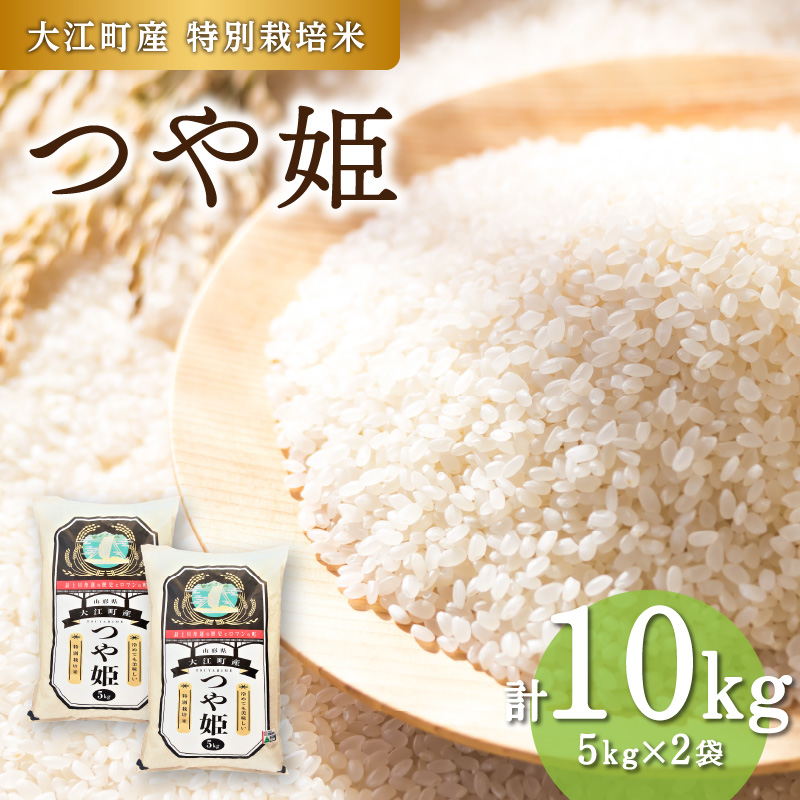 【新米】大江町産 つや姫 10kg(5kg×2袋)【山形県産 特別栽培米】【2025年度産米】