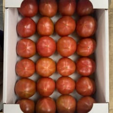 デリシャストマト【1370598】