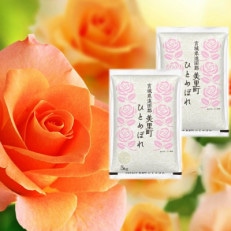 【令和5年産】宮城県遠田郡美里町ひとめぼれ　10kg (5kg×2)【1442256】