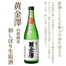 「黄金澤」山廃純米・初しぼり生原酒 のみくらべ2本セット 各720ml【配送不可地域：離島】【1470704】