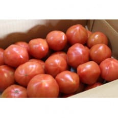 訳ありマイルドデリシャストマト　4kg【1488419】