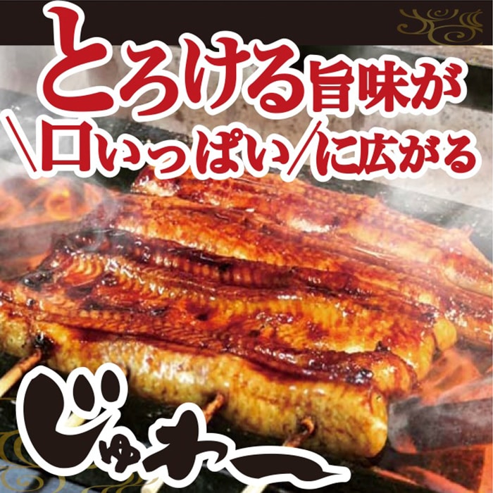 うなぎ蒲焼き&白焼きセット(蒲焼き:160g×2・白焼き:160g×2) | うなぎ 鰻 ウナギ 国産 かば焼き 蒲焼き 蒲焼 白焼き うな重 ひつまぶし たれ 山椒 人気 食べくらべ 食べ比べ セット 詰め合わせ おすすめ 取り寄せ お取り寄せ グルメ 惣菜 ギフト 贈答 贈り物 プレゼント お中元 お歳暮 御歳暮 茨城県 古河市 直送 店舗直送_AT06