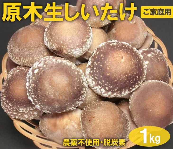 原木生しいたけ 1kg ※離島への配送不可 | きのこ 椎茸 しいたけ シイタケ 原木 栽培 キット 栄養 健康 食育 産地直送 茨城県 古河市 家庭用 贈答用 農薬不使用 脱炭素 _DR03