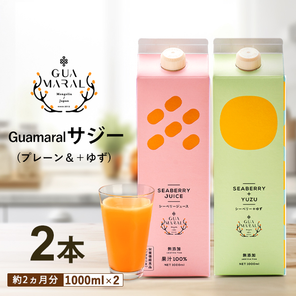 サジージュース 100%と+ゆず 1000ml×各1本セット(計2本)サジー シーベリー 沙棘 グアマラル 健康ドリンク 健康 美容 栄養 果汁 鉄分補給 栄養補給 健康食品_DX06