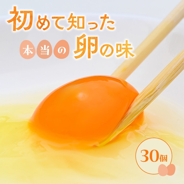 小久保ファーム 濃厚卵黄 産みたてたまご 赤玉30個入り(M玉) | 卵 玉子 たまご タマゴ 30個 赤玉 生卵 鶏卵 生みたて 産みたて 新鮮 濃厚 健康 TKG たまごかけごはん ご飯のお供 国産 ギフト 贈答 贈り物 お中元 お歳暮 プレゼント 茨城県 古河市 直送 農家直送 産地直送 _EI01