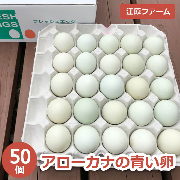 江原ファーム アローカナの青い卵 50個 割れ補償 | 卵 50個 玉子 たまご タマゴ 生卵 鶏卵 生みたて 産みたて アローカナ 新鮮 濃厚 健康 青い卵 TKG たまごかけごはん ご飯のお供 国産 ギフト 贈答 贈り物 お中元 お歳暮 プレゼント 茨城県 古河市 直送 農家直送 産地直送 _AG02
