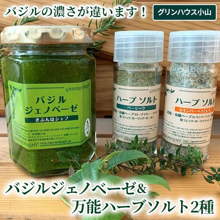 バジルの濃さが違います!バジルジェノベーゼ&万能ハーブソルト2種 ※北海道・沖縄・離島への配送不可 | バジルソース ハーブソルト 調味料 新鮮 ハーブ農家 国産 取り寄せ お取り寄せ 贈答 贈り物 プレゼント お中元 お歳暮 御歳暮 茨城県 古河市 直送 農園直送 _CI01