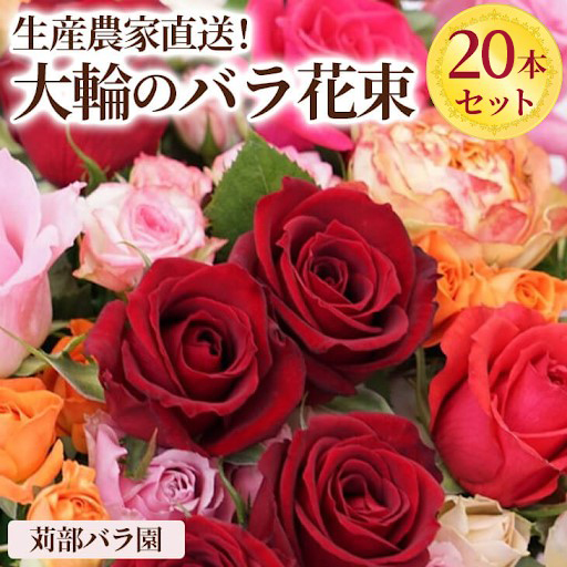 生産農家直送！大輪のバラ花束　20本セット ※沖縄・離島への配送不可 | 20本 植物 花 華 お花 フラワー 生花 切り花 花持ち ばら バラ 薔薇 ローズ 花束 ブーケ 包装 ご家庭用 ギフト 記念日 誕生日 結婚記念日 結婚 送別 歓迎 イベント 発表会 卒業式 サプライズ お祝い 高評価 感動 癒し 女性 男性 紳士 贈答 贈り物 プレゼント 茨城県 古河市 名産 特産 直送 農家直送 産地直送 苅部バラ園 _AL01