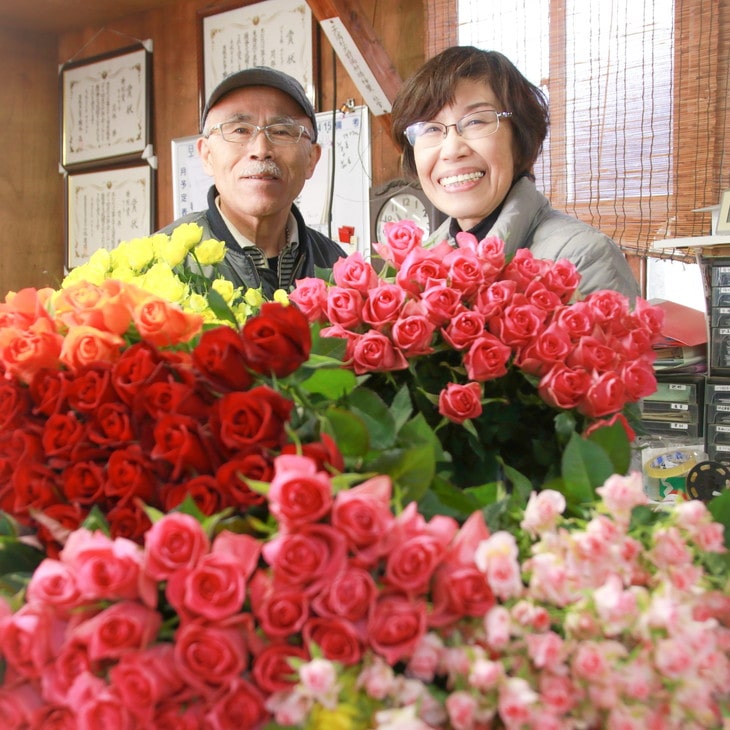 生産農家直送！大輪のバラ花束 20本セット ※沖縄・離島への配送不可 | 20本 植物 花 華 お花 フラワー 生花 切り花 花持ち ばら バラ 薔薇  ローズ 花束 ブーケ 包装 ご家庭用 ギフト 記念日 誕生日 結婚記念日 結婚 送別 歓迎 イベント 発表会 卒業式 サプライズ